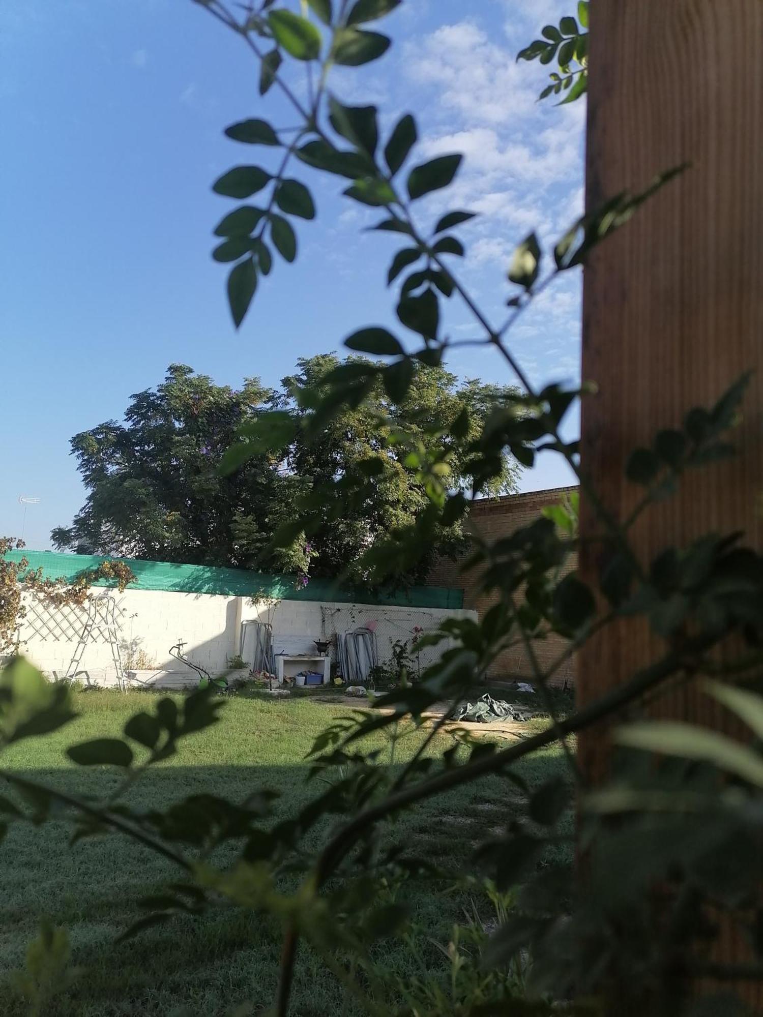 Cabana El Salto Del Duende Villa Carrion de Los Cespedes Екстериор снимка